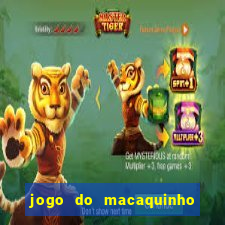 jogo do macaquinho que ganha dinheiro